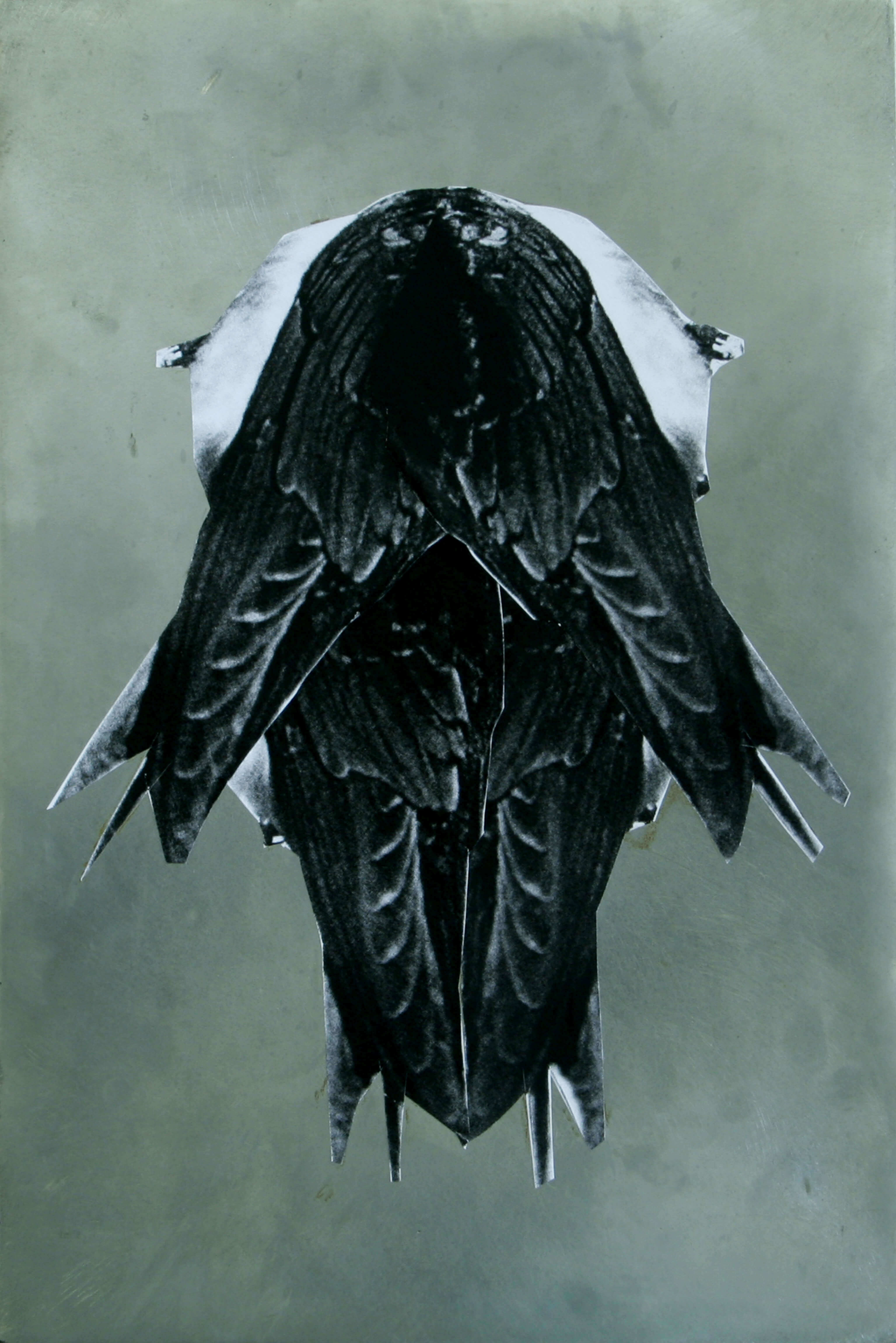 Untitled (Vogel), 2008